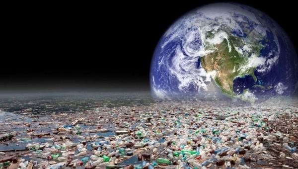 STUDIU: O larvă ar putea SALVA Pământul de cele 1.000 de miliarde de pungi din plastic care sunt utilizate în fiecare an