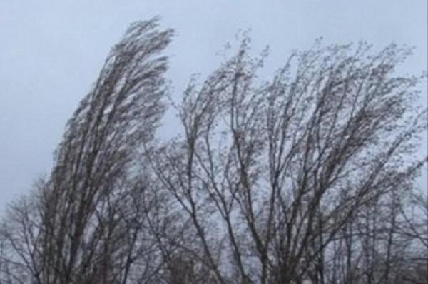 ALERTĂ METEO! Meteorologii au emis COD GALBEN DE VÂNT pentru următoarele ore. Ce zone sunt afectate