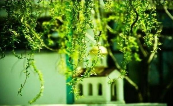 Zi IMPORTANTĂ pentru creştini: Ce nu ai voie să faci în Sâmbăta Floriilor