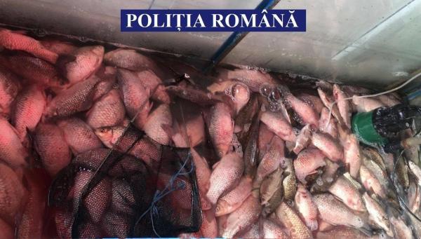 Tone de peşte, CONFISCATE de poliţişti înainte de Duminica Floriilor