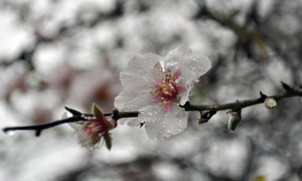 Cum va fi VREMEA săptămâna viitoare. Anunţul făcut de meteorologi