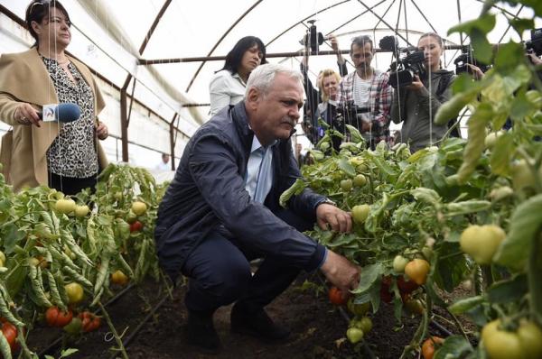 Liviu Dragnea a oferit ultimele detalii despre IMPOZITUL PE VENIT GLOBAL: "Bagă bani în economie!"