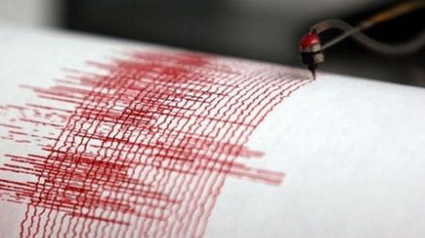 CUTREMUR în Vrancea, în urmă cu puţin timp! Anunţ de ULTIMĂ ORĂ făcut de seismologi