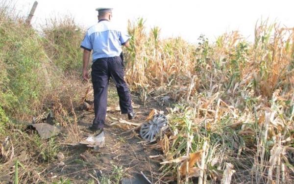 Descoperire BIZARĂ într-un LAN DE PORUMB din Arad, la miezul nopții