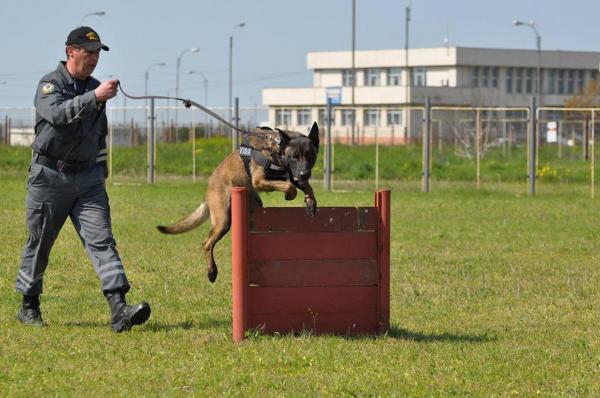 POVESTE INCREDIBILĂ. Poliţist de LEGENDĂ al frontierei româneşti, spaima traficanţilor de ţigări. Când îl văd, se predau de bunăvoie!
