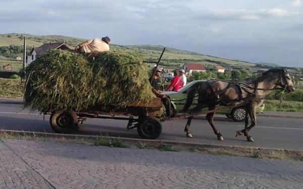 Accident stupid la Botoșani. O tânără A MURIT, după ce a căzut în cap din căruță