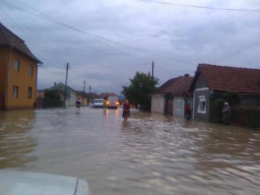 INUNDAŢII în Prahova! Pompierii intervin pentru evacuarea apei din mai multe oraşe şi localităţi