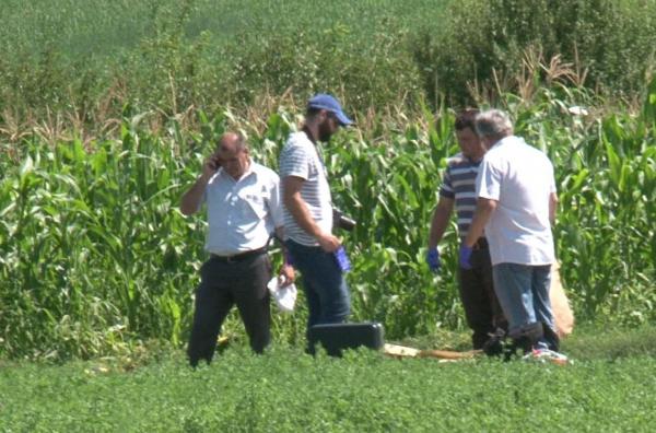 CRIMĂ PE CÂMP, în Iaşi. Caii s-au speriat şi s-au oprit îngroziţi în faţa unui cadavru plin de sânge şi de praf