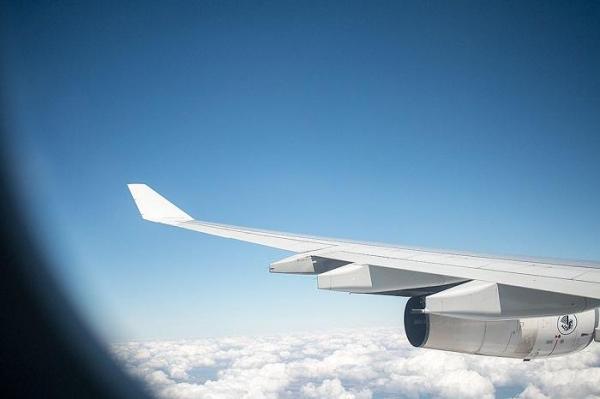 O britanică va acţiona în INSTANŢĂ, după ce a fost supusă unui INTEROGATORIU CRÂNCEN pe aeroport, pentru că citea o carte de ARTĂ SIRIANĂ