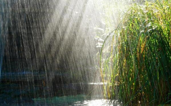 Fenomene meteo extreme în România! Canicula persistă în majoritatea zonelor ţării, dar sunt anunţate şi furtuni