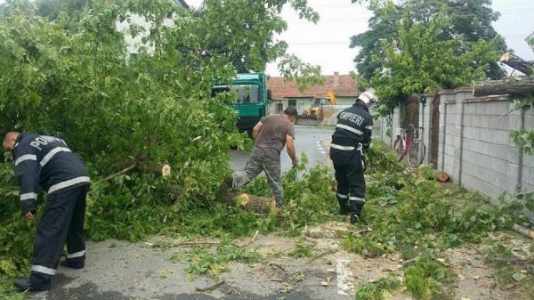 Vântul face pagube în Deva: Mai multe maşini au fost avariate, copacii au fost doborâţi, iar acoperişurile caselor au fost luate pe sus