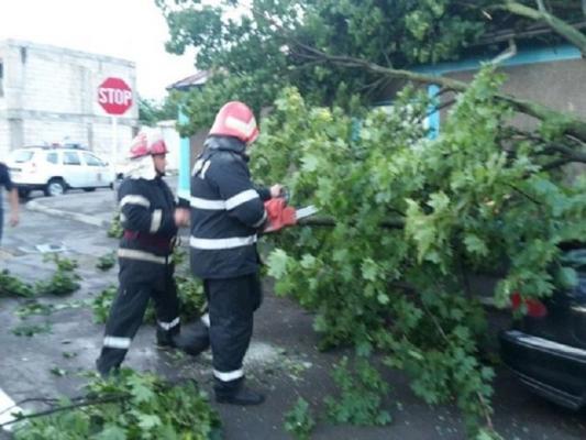 URGIA naturii face RAVAGII în toată România! Peste 130 de copaci doborâţi de vânt, cinci străzi blocate, o casă şi cinci maşini avariate şi zece răniţi, în urma vijeliei de marţi seară, la Galaţi