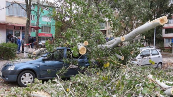Atenționare meteo: COD GALBEN de vânt în opt județe din țară
