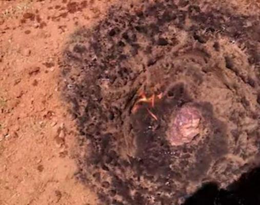 Un zgomot INFERNAL  l-a scos din casă, iar când a ieșit afară, a rămas fără suflare! AŞA CEVA mai văzuse doar în filme | VIDEO