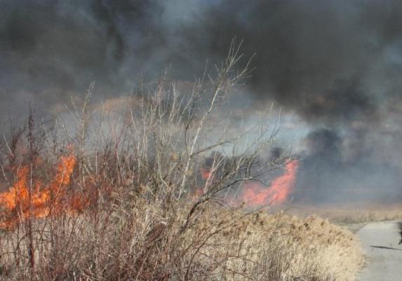 Pompierii au oprit TOTAL circulaţia între Frumuşani şi centura Capitalei, pe DN4, Bucureşti - Oltenţia