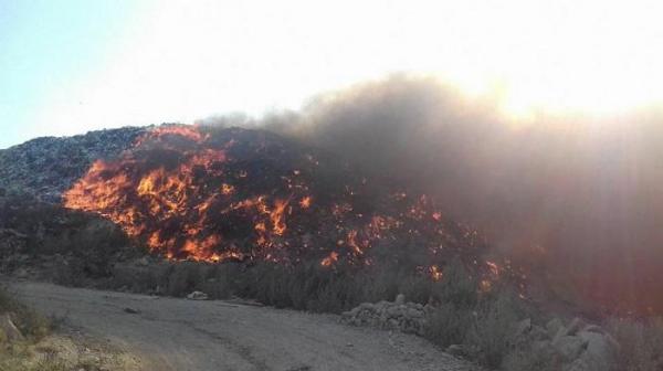 Incendiu de proporții la groapa de gunoi din Bacău. 30 de pompieri intervin pentru stingerea flăcărilor