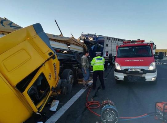 IMPACT FRONTAL DEVASTATOR între două TIR-uri, pe autostrada Arad-Timișoara! Ambii şoferi SUNT MORŢI. Traficul este blocat (GALERIE FOTO + VIDEO)