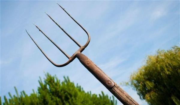 Un bărbat riscă ŞAPTE ANI de închisoare după ce a omorât câinele vecinului cu o FURCĂ