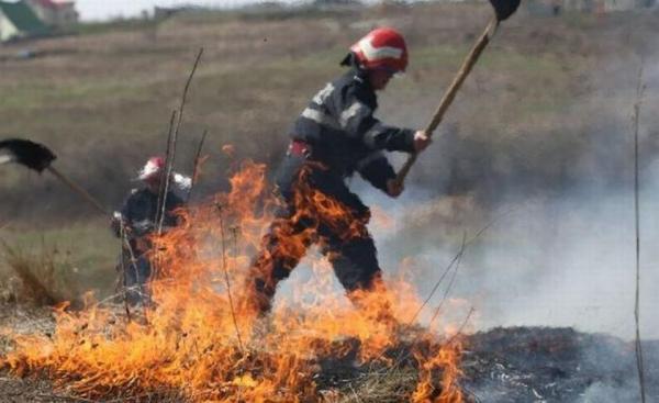 Incendiu de proporţii în Tulcea: Zeci de hectare au luat foc din cauza unei ţigări aruncate la întâmplare