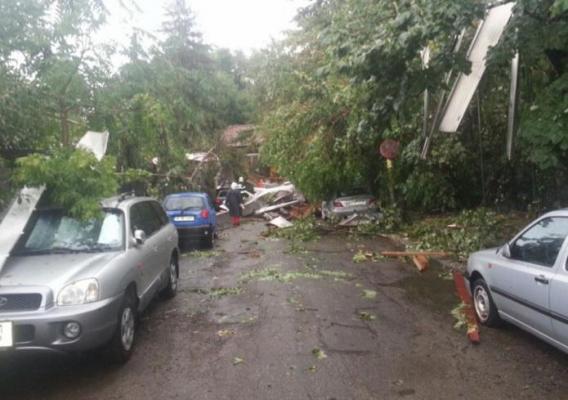 Furtună violentă la Iași! Copaci smulși și acoperișuri distruse, peste 120 de apeluri la 112 - FOTO si VIDEO