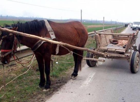 Răzbunare incredibilă! Văduvă la numai 23 de ani, o tânără a fost CĂLCATĂ CU CĂRUŢA de un vecin care îi făcea avansuri