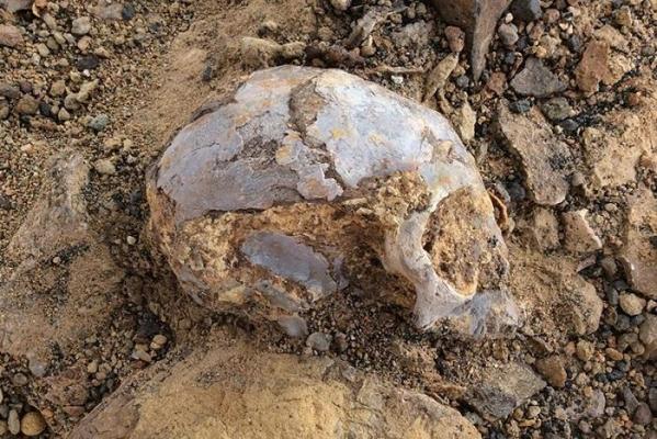 Descoperire ULUITOARE a oamenilor de ştiinţă! Detalii care ar putea face lumină în trecutul foarte îndepărtat al omenirii!