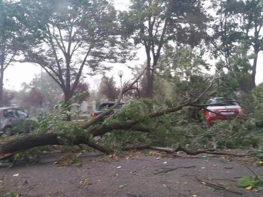 Atenţie, şoferi! Drumuri naţionale blocate din cauza furtunilor violente care au lovit vestul ţării