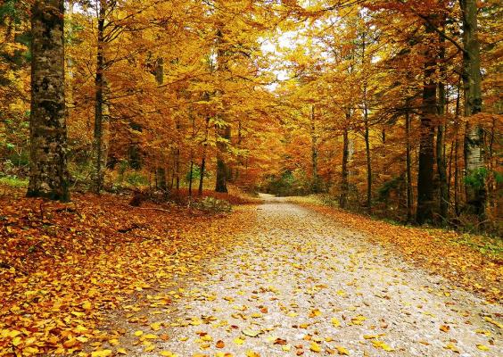 Ce se va întâmpla cu VREMEA în următoarele luni este ieșit din comun. Anunţ de ULTIMĂ ORĂ de la meteorologi