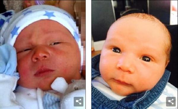 ȘOCANT! Un băiețel de numai trei săptămâni a fost UCIS de un câine Terrier, într-un atac feroce care a durat 20 de minute, în timp ce tatăl copilului dormea