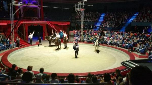 Circul Globus, amendat după ce au apărut în spaţiul public imagini cu animale sălbatice ţinute afară, în cuşti