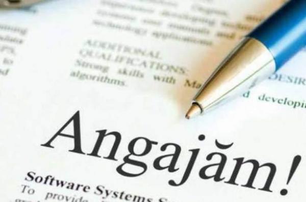 Bursa locurilor de muncă pentru absolvenţi. Aproape 30.000 de locuri de muncă