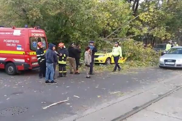 Copac doborât de vânt în Bucureşti, bărbat în stare critică. Victima se afla în maşina sa, pe şoseaua Giurgiului