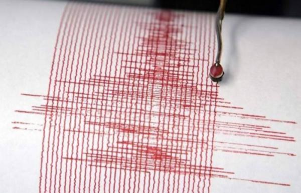 Cutremurul s-a produs în zona seismică Vrancea, judeţul Buzău