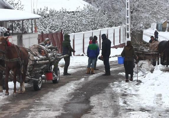 Cadavru ținut cu săptămânile în casă, scos cu forța de polițiști, la Solești, Vaslui (Video)