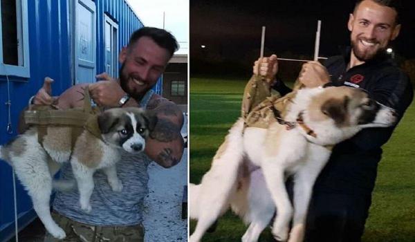 Soldatul a fost vizibil emoţionat la revederea companionului patruped