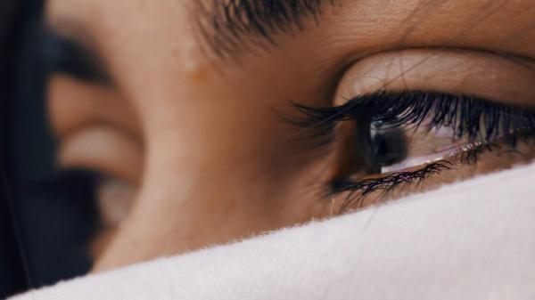 Zodiac prezentat de Observator