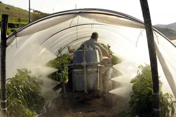 Angajări în străinătate 2018: ANOFM anunţă 100 de locuri de muncă pentru români în Danemarca