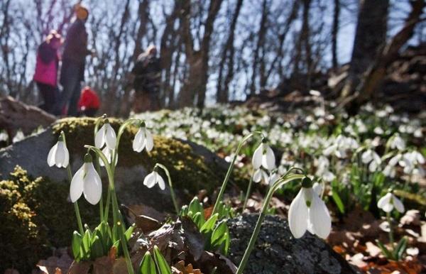 Vremea în martie. ANM a emis prognoza meteo pentru prima săptămână