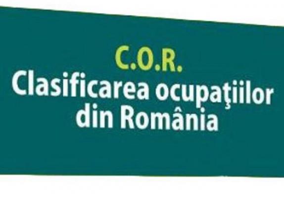 A apărut o nouă meserie în România, oficial. Ministerul Muncii a dat avizul
