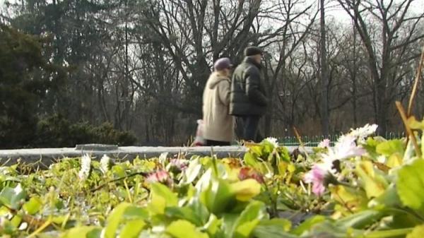 Luna ianuarie 2018, cea mai caldă din istoria ANM! Climatologii explică de ce avem temperaturi de primăvară, în plin sezon de iarnă