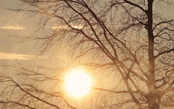 Vremea în România pentru 2 săptămâni. Meteorologii anunţă temperaturi maxime incredibile