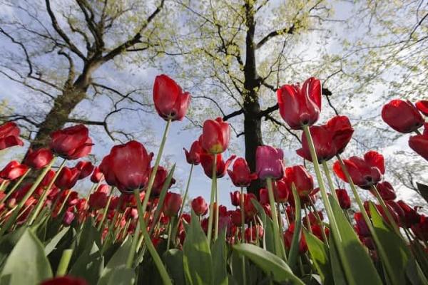 Prognoza meteo ANM în 10 martie 2018 în Bucureşti. Vremea în Capitală pentru weekend şi luni