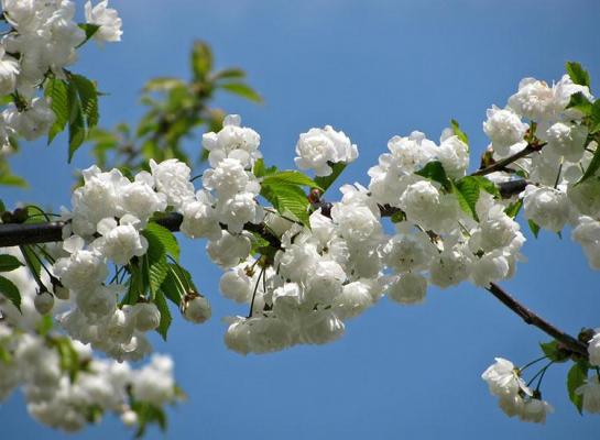 Prognoza meteo în săptămâna 9-15 aprilie. Cum va fi vremea săptămâna viitoare