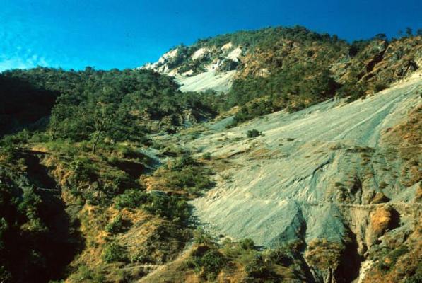 Tragedie cumplită în India! Cel puțin 21 de copii au murit după ce un autobuz școlar s-a prăbușit într-un defileu în munții Himalaya