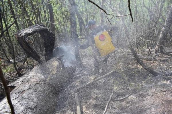 Incendiul din Parcul Naţional Domogled s-a extins