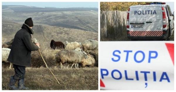 Crimă înfiorătoare între ciobani, într-un sat din Sibiu. Un oier a fost ucis de colegul mai tânăr, după o ceartă în Țichindeal. Bărbatul avea 8 copii