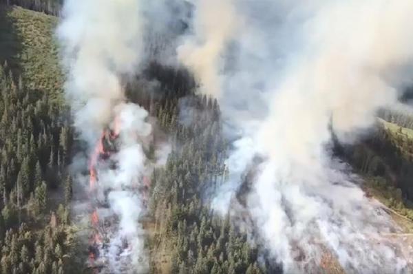 Arde pădurea în masivul Ciucaș. Se intervine cu elicopterul pentru stingerea flăcărilor (Video)