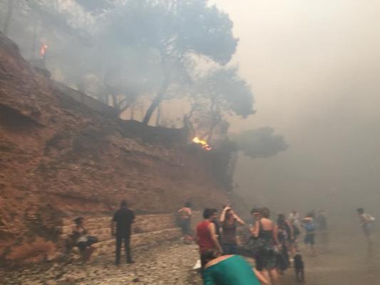 MAE, anunţ de ultimă oră despre existenţa unor cetăţeni români printre victimele incendiilor din Grecia