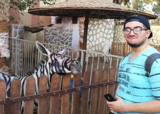 Grădină zoologică din Egipt, în plin scandal după ce angajații au dat cu bidineaua un măgar și l-au prezentat drept zebră