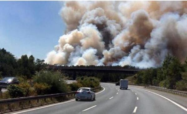 Incendiu de vegetaţie într-un sat de lângă Berlin. Localnicii se pregătesc de evacuare (VIDEO)